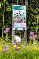 Bio-Lehrpfad Ramsau am Dachstein