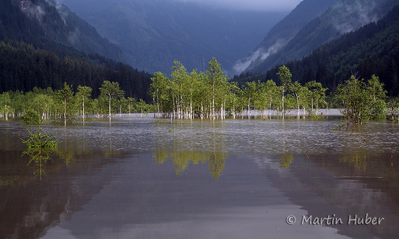 Der Tettersee - Überflutung des Tettermoores am 29.06.2009