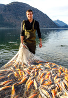 Grundlsee, Laichfischen, Lechfischen