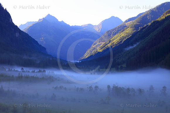 Blick ins Tettermoor