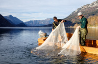 Grundlsee, Laichfischen, Lechfischen