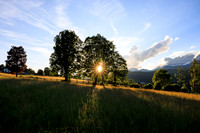 THEMENBILD, Sommer in Österreichs Bergen