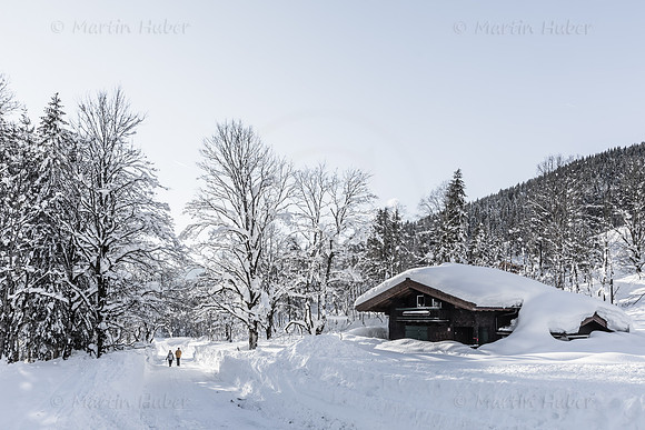 THEMENBILD, Winter in Österreich
