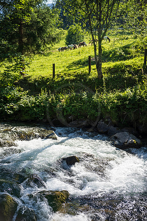 Talbach und Talbachklamm