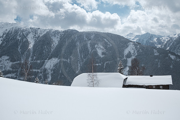 THEMENBILD, Winter zu Frühlingsbeginn in Österreich