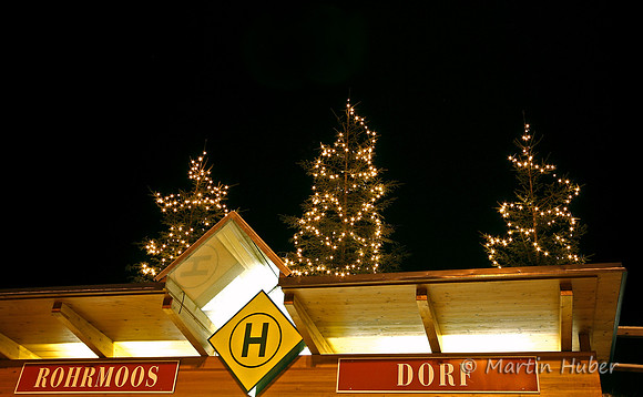 Drei Christbäume
