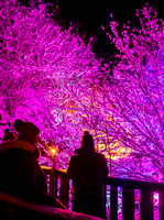 THEMENBILD, Advent in den Bergen, Radstadt