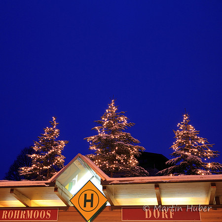 Rohrmooser Christbäume