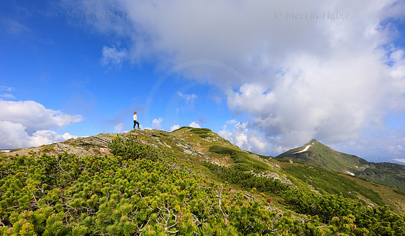THEMENBILD, Wandern auf der Planneralm