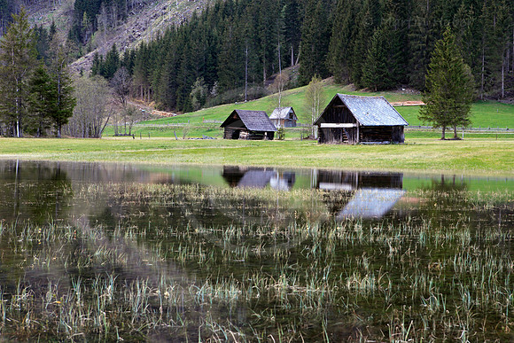 Tettermoor - teilüberflutet durch Schmelzwasser