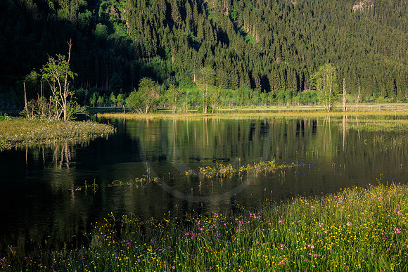 THEMENBILD, Frühling in den Bergen, Schmelzwasser