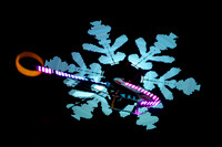 Planai, Schladming, Welcome Skishow