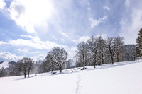 THEMENBILD, Wintereinbruch, Aprilwetter