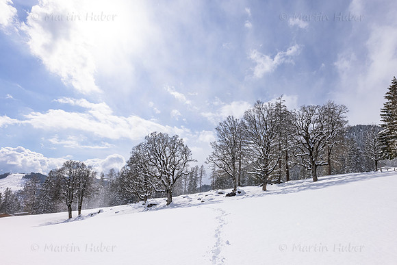 THEMENBILD, Wintereinbruch, Aprilwetter