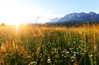 THEMENBILD, Sommer in Österreichs Bergen