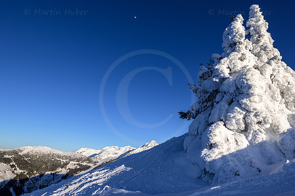 THEMENBILD, Winter, Kälte, Frost