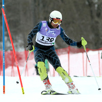 AUT, FIS Weltmeisterschaften Ski Alpin, Schladming 2013