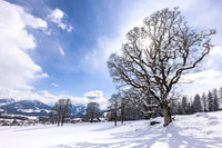 THEMENBILD, Wintereinbruch, Aprilwetter