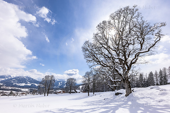 THEMENBILD, Wintereinbruch, Aprilwetter