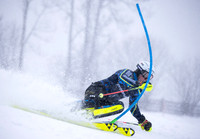 AUT, Training Reiteralm, Slalom