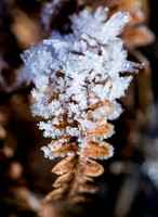 Kristalle aus Eis