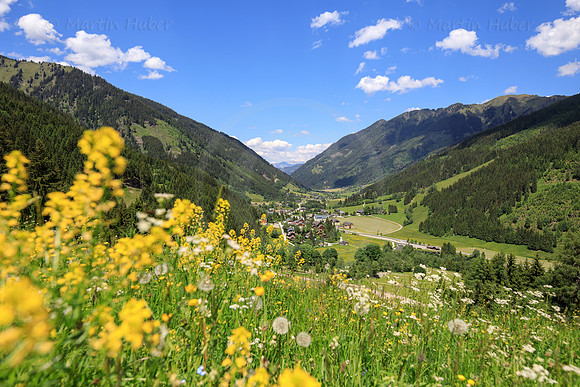 THEMENBILD, Wandern in Österreich, Donnersbachwald