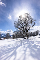 THEMENBILD, Wintereinbruch, Aprilwetter