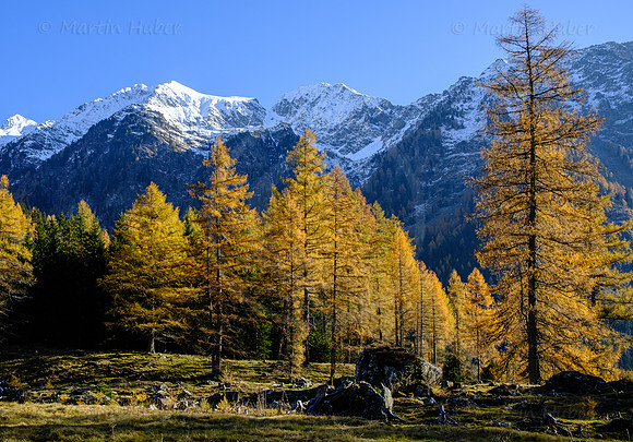 Spätherbst und Lärchengold, hinteres Weißpriachtal
