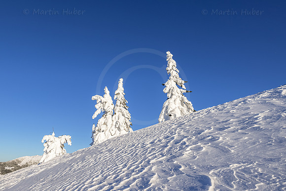 THEMENBILD, Winter, Kälte, Frost