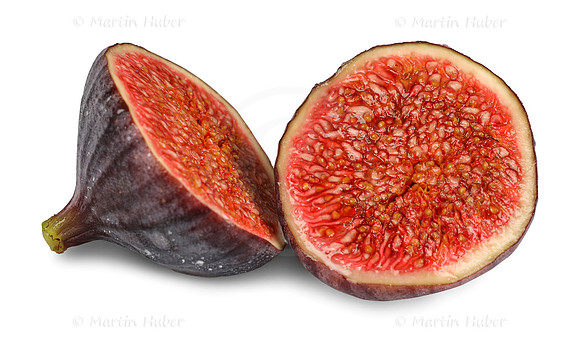Frucht, frische Feige
