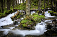 Schneewasser im Riesachbach