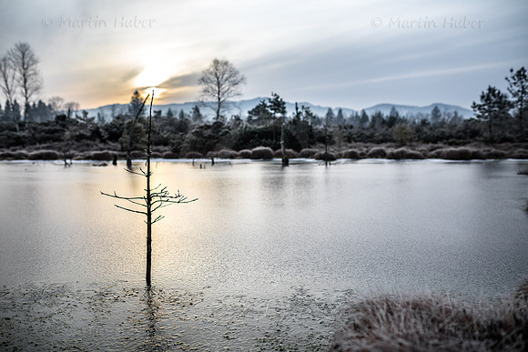 Wintermorgen im Wenger Moor
