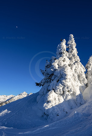 THEMENBILD, Winter, Kälte, Frost