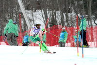 AUT, FIS Weltmeisterschaften Ski Alpin, Schladming 2013