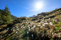 Frühling 2019 am Riesachsee