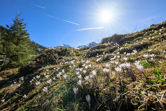 Frühling 2019 am Riesachsee