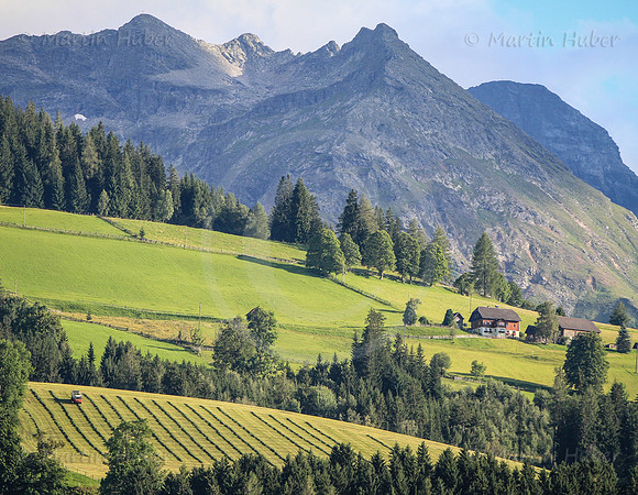 Bergbauer bei der Heuarbeit - Goessenberg