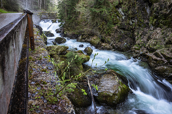 Frühlingserwachen in der Talbachklamm