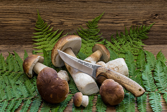 Food-Fotografie, Steinpilze und Herrenpilze