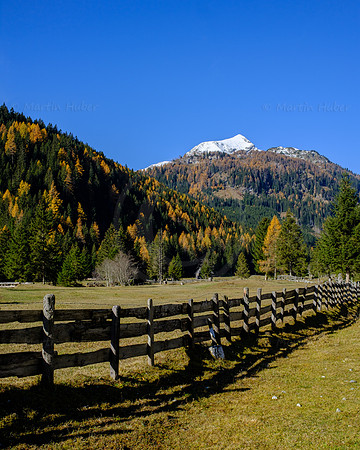 Spätherbst und Lärchengold, hinteres Weißpriachtal