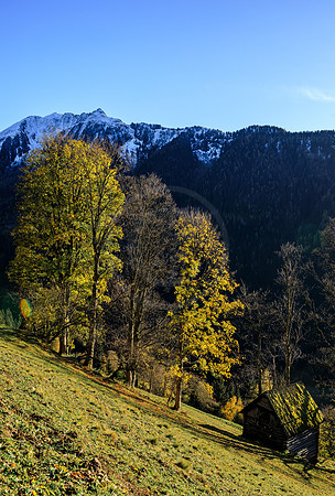 THEMENBILD, Wetter, goldener Spätherbst