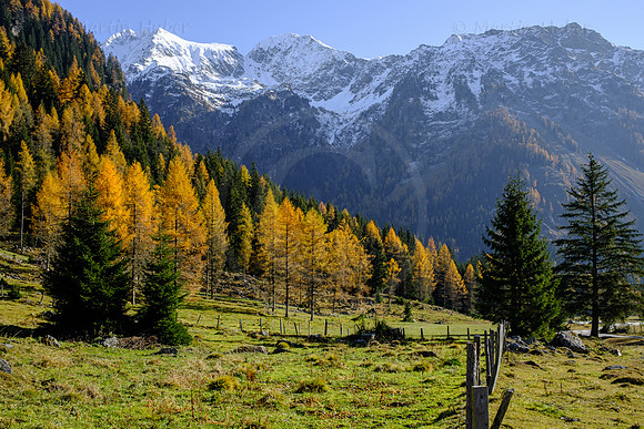 Spätherbst und Lärchengold, hinteres Weißpriachtal