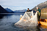 Grundlsee, Laichfischen, Lechfischen