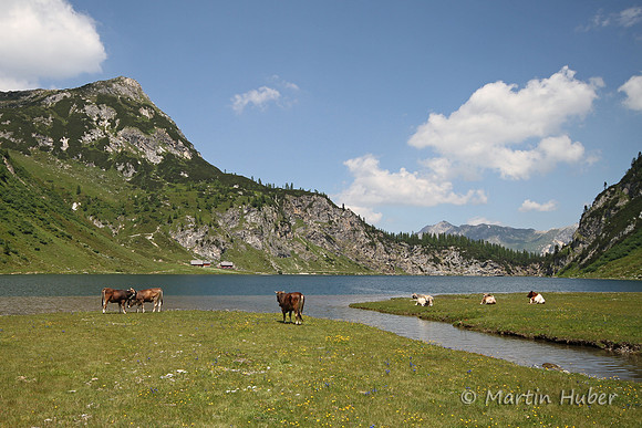 Almsommer am Tappenkarsee