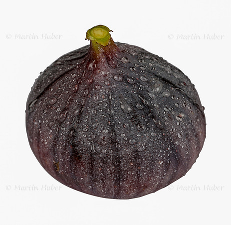 Frucht, frische Feige