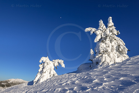 THEMENBILD, Winter, Kälte, Frost