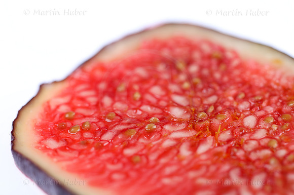 Frucht, frische Feige
