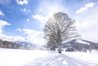 THEMENBILD, Wintereinbruch, Aprilwetter
