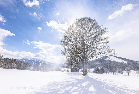 THEMENBILD, Wintereinbruch, Aprilwetter