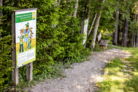 Bio-Lehrpfad Ramsau am Dachstein